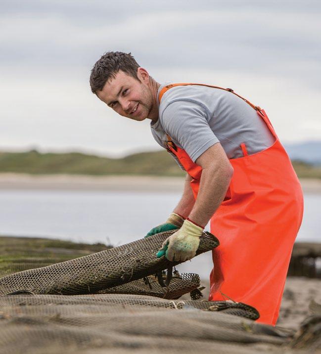 Bord Iascaigh Mhara (BIM) the Irish seafood development agency carries out an annual survey of all licensed aquaculture producers within the Republic of Ireland.