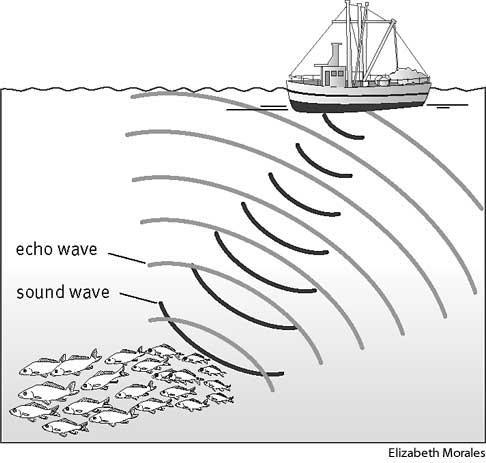 WAVE REFLECTION SONAR (Sound Navigation and Ranging) Used to navigate and determine the distance or range to objects Uses the reflection of underwater sound waves to detect objects.