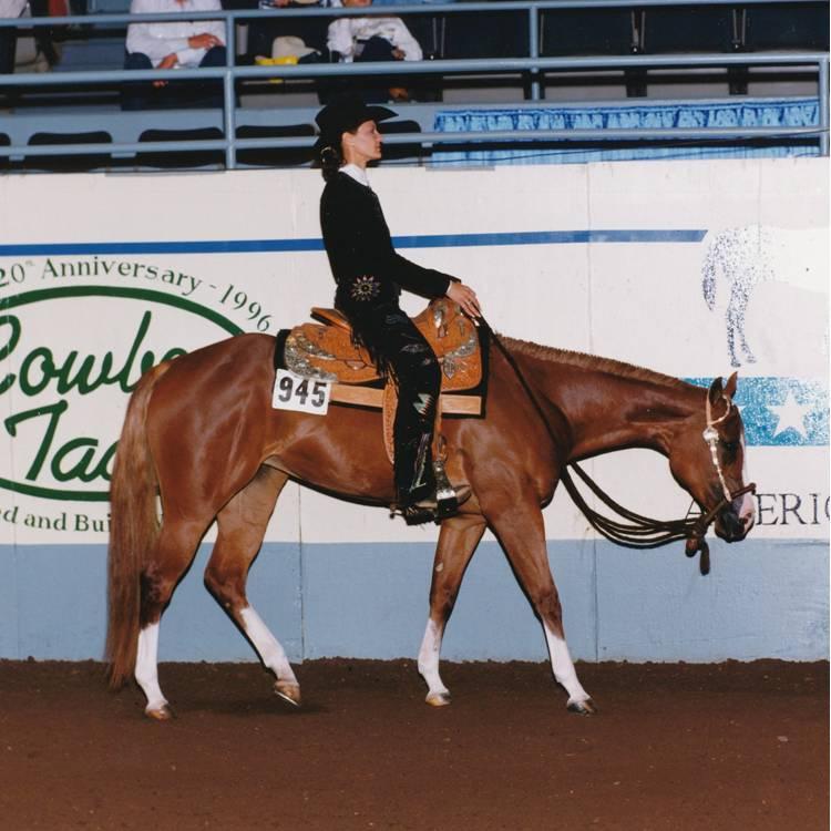 Vested Glory by The Big Investment was a great show mare, earning her Superior in open and amateur western pleasure. This mare is out of Jag s Velvet Ann by Mr Jag by Jaguar by Custus Rastus.