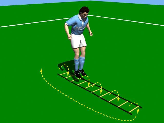 Soccer Speed, Agility and Quickness Circuit Forward Ladder All drills will be performed in a linear fashion. 1. Forward run run through the ladder putting both feet in the rung. 2.