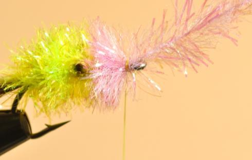 Tie in Pink Cactus chenille and wind forward to the eye of the hook.
