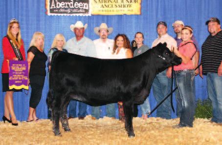 The sire of this mating, EXAR Classen 1422B, was the 2012 Denver Champion Pen lead off bull and Express Ranches spring bull sale topper.