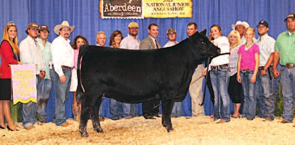 She is the dam of Silveiras Elba 2342, the $20,500 purchase of Shayne Myers in the 2012 Silveira Sale who went on to be a Division Champion at the National Western Stock Show, Champion Female at the