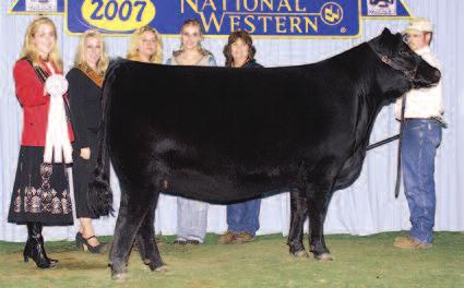 standings for the 2006 2007 show year after being named Junior Champion at the 2007 Southwestern Exposition in Fort Worth and Reserve Junior Champion at the 2007 National Western.