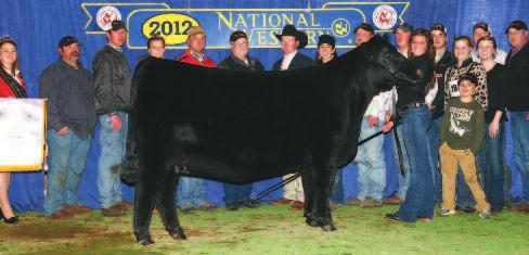 champions in the Angus breed.