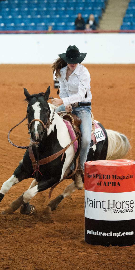 Announcing the Paint Barrel Racing Incentive Program PBRIP is proud to announce the formation of a new incentive