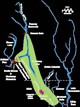 Kootenai River White Sturgeon Separated from Columbia River population 10,000 years ago Vital to the Ktunaxa Adapted