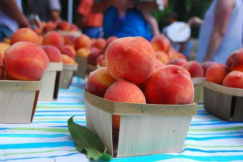 Candor Peach Festival July 19 We welcome you attend the North Carolina Peach Festival held every year on the