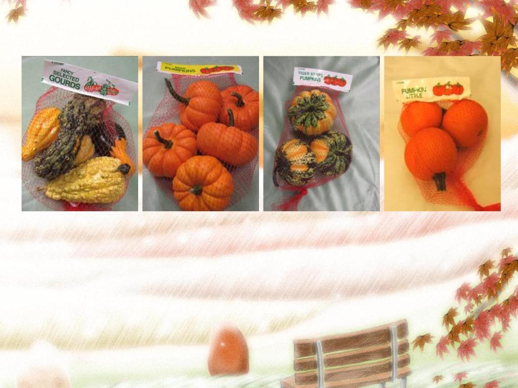 BAGGED FALL ORNAMENTALS Bagged Gourds We offer the unique gourds packed in a mesh display bag with a header.