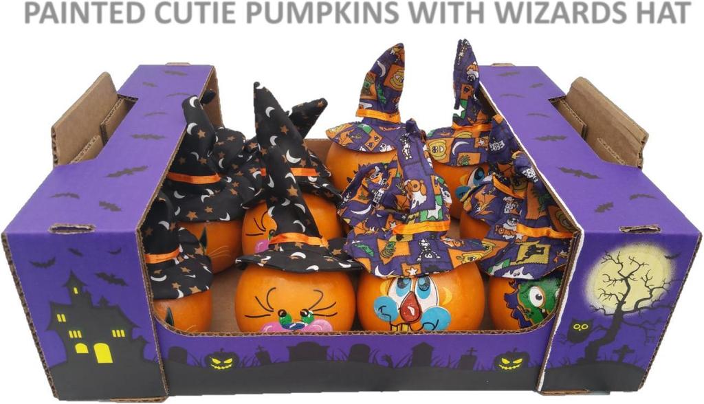 PAINTED CUTIE PUMPKINS WITH WIZARDS HAT The Cutie Pie s!!! Our Original Cutie Pumpkin with Wizards Hat.
