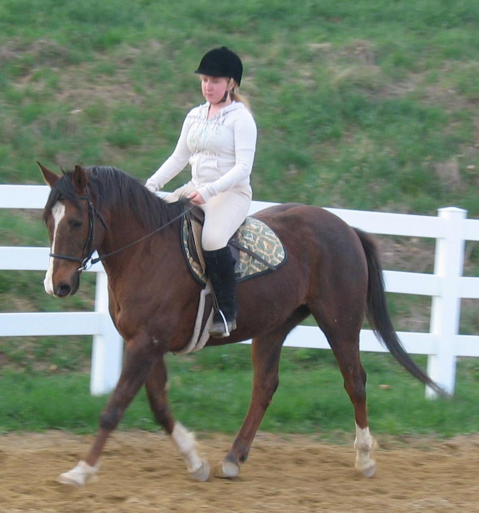 This technique of stretching, or chewing the reins out of the hands, can even be applied for horses at the canter, if need be and the