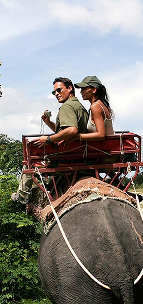 EXCURSION PREBOOKING LIST ELEPHANT SAFARI PARK_½ day The perfect family outing, this tour takes in a journey to Phuket's elephant safari park where you'll get to spend half an hour riding on one of