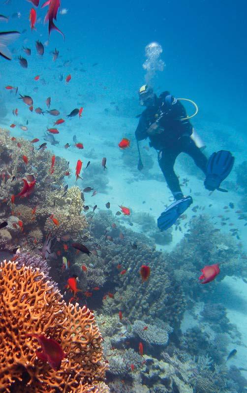 SCUBA DIVING PREBOOKING LIST _02 Confirmed Diver Accompanied 5 DIVES IN 2 COMPLETE DAYS ONE FULL DAY EXCURSION WITH 2 DIVES, AND ONE FULL DAY EXCURSION WITH 3 DIVES_3 days 1 Orientation/ refreshment