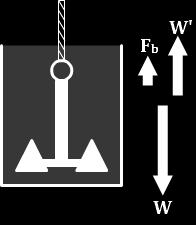There is an upward support force, W, an upward buoyant force, F b, and the downward gravitational force, that is, its weight, W.