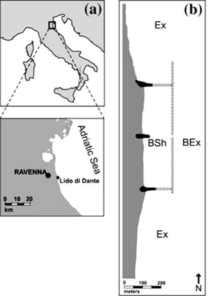 Figure 2.15. Site description of Lido di Dante: (a) geographical location; (b) sampling design. Ex exposed shoreline; BEx partially exposed; BSh sheltered area (Bertasi et al., 2007). Daniil et al.