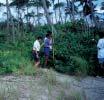 W ISE PRACTICES FOR A HEALTHY BEACH Grasses, vines and seagrape here at Anse Ger help to stabilise the beach and dunes, 1994 Ensuring new development is a safe distance from the