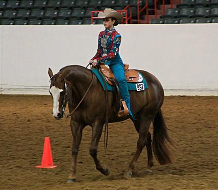 Western Horsemanship Purpose: Opportunity to display ability as a rider.