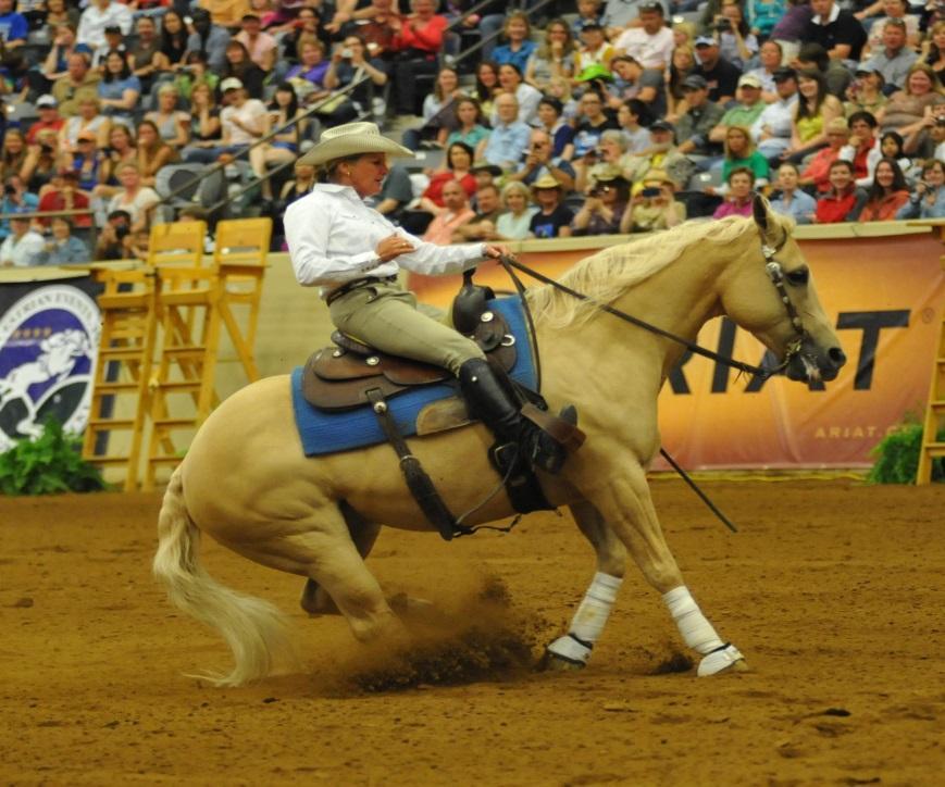 Reining Purpose: Not only guide the horse but control his every move.