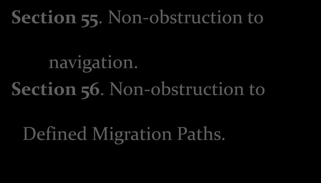 Section 55. Non-obstruction to navigation.