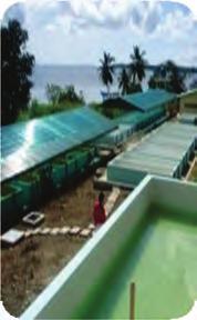 and operation of fish pens/fish cages) Research and