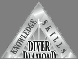 4 SubGear XP-10 Computer Diver Unique Specialty Course - INTRUCTOR MANUAL 1 WELCOME As an SSI Dive Professional, your goal while teaching the SubGear XP-10 Computer Diver Unique Specialty Course is