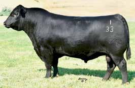 A R Objective 2345 R/M Ironstone 4047 C A Future Direction 5321 LONE STAR IRSTONE BELLE S119 B/R Ruby of Tiffany 5144 17420965 Lonestar Objectivebelle E755-3 0.38 +2.8 0.43 +65 0.33 +125 0.36 +2.31.