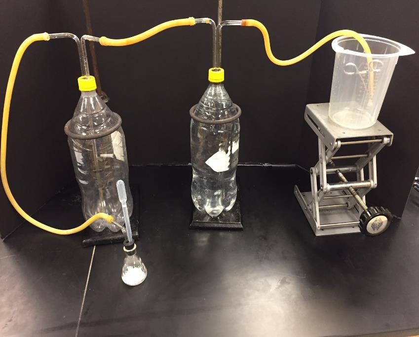 4. Place ~ 3.5 g NaHCO 3 and ~ 3 g citric acid in the Erlenmeyer flask (these weights are not recorded but must be 0.1 g).