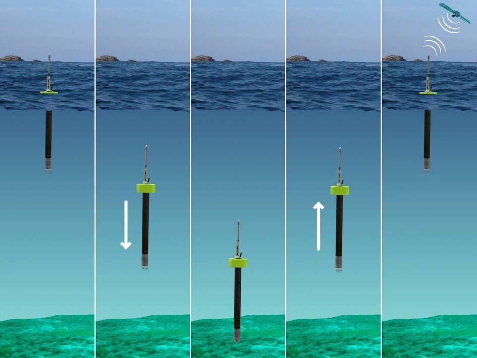 Profile, phase 2: Anchoring. During the descent, pressure is monitored in order to detect the stabilization of the float which is then anchored in the seafloor sediment.