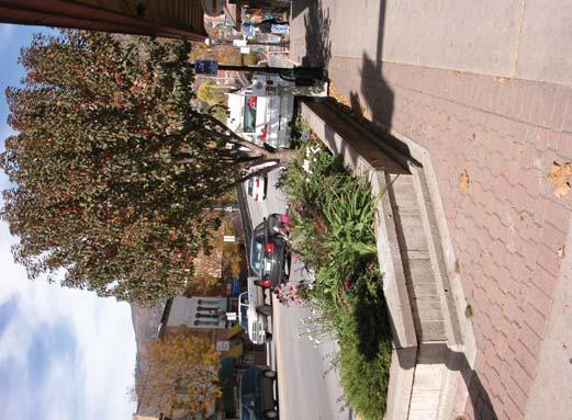 Raised planters can help buffer trees and plants from snowmelt chemicals and snow removal equipment. Raised planters should not obstruct driver views.