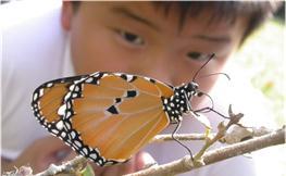 ECO - TOURS In the concrete jungles of Hong Kong, there is a growing environmental awareness.