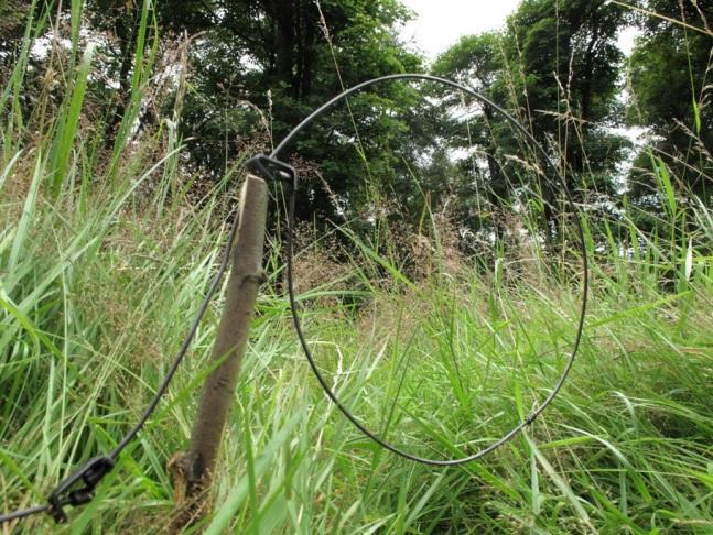 However, the use of traps and snares is subject to legal restrictions designed to prevent harm to non-target species or unnecessary cruelty.