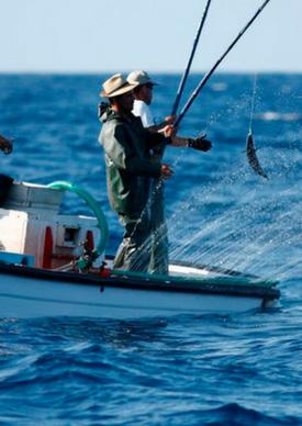 The interests of recreational and commercial fishers