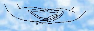 11 Body: This mudra will be used for the rest of the meditation. Males will place the left palm on top of the right palm, and females will place the right palm on top of the left palm.