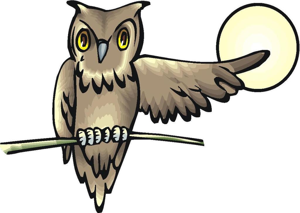 Date Grade Owls Are Nocturnal Cyber Starter Can owls see during the day? Do they eat during the day or at night?