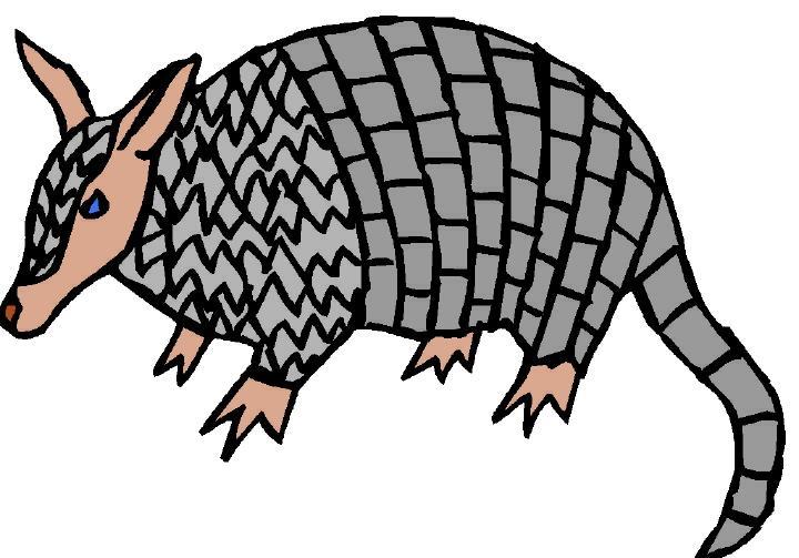 Date Grade Armadillos are Nocturnal Cyber Starter Can an armadillo swim or climb? Do they move quickly? What do they feel like?
