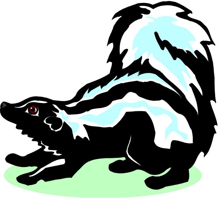 Date Grade Skunks Are Nocturnal Cyber Starter Why do we run when we see a skunk? Is a skunk dangerous? There is more than one type of skunk. Find out more by answering the questions below.