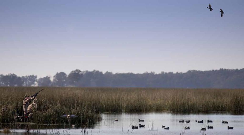 JACANA LODGE buenos aires, argentina The David Denies Duck Program draws on the hundreds of years of combined experience our staff brings to the table in guiding, outfitting, and preparing wing