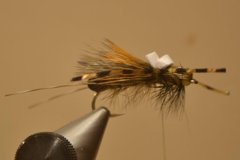 14) Tie in the Sexi-Legs on both sides of the fly at the same point that the foam was tied in.