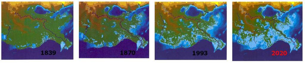 Figure 4. Creation and erosion of the Mississippi delta (http://www.umces.edu/larestore/new%20framework%20final.pdf). Figure 5. Loss of wetland from 1893, prediction for 2020 (www.restoreorretreat.