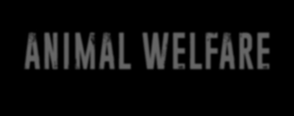 animal athletes: Welfare and Treatment of PBR s Animal Athletes Policy: Professional Bull Riding is fully committed to ensuring