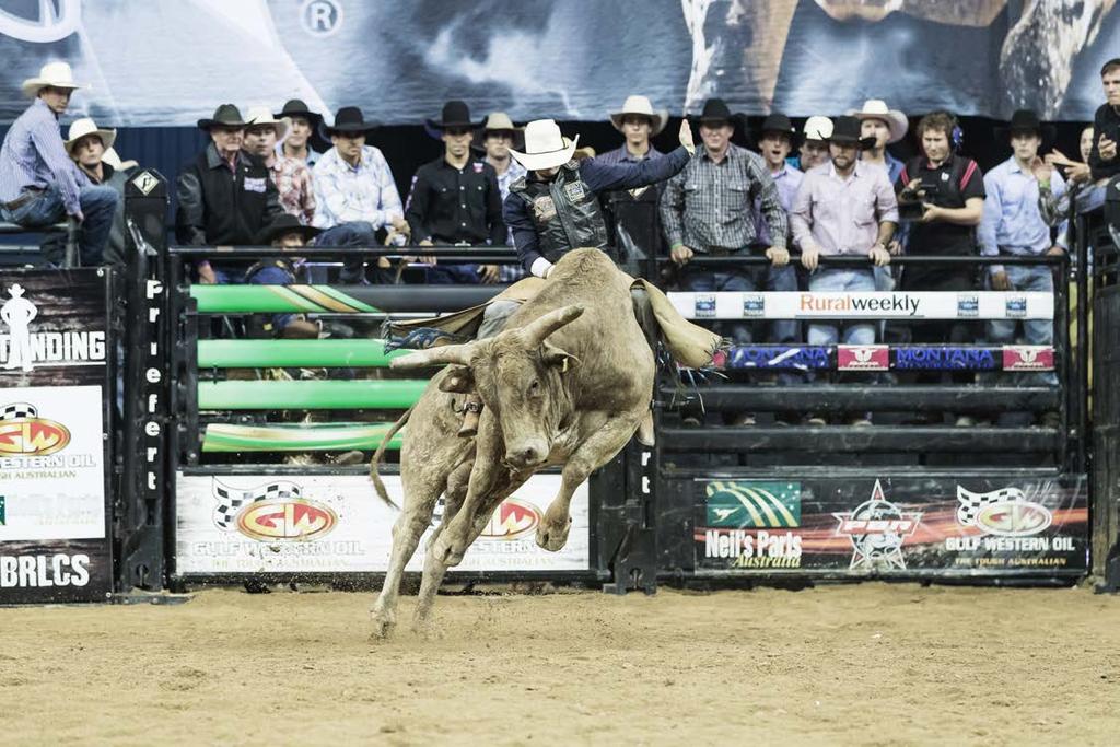 PBR bucking bulls and the equipment used in professional bull riding. Q: Can any bull compete in a PBR event? A: Not every bull can compete in a PBR event.