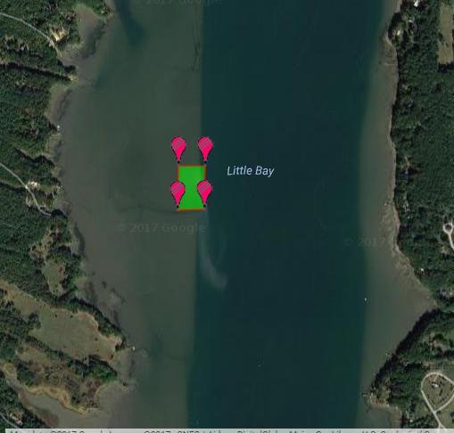 D. Site Specific Information 1) Tidal information The site is mostly level ranging in depth from 1-2 ft MLW across most of the area and dropping off into deeper water ( 10+ ft MLW) along the eastern