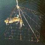 Recreational Fishery Background Recreational crabbing occurs in all of NJ s estuaries (DE Bay, Coastal bays,