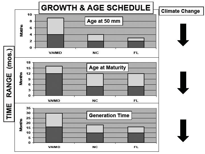 Overall growth Hines et al.