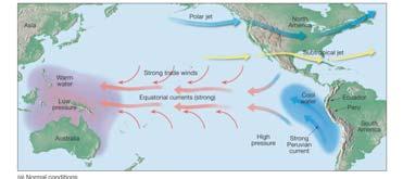 winds Surface warm pool in western Pacific moves eastward Upwelling shuts down off west coast of South
