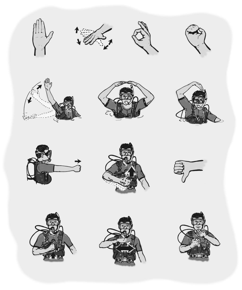 COMMUNICATION These are standard scuba hand signals that are useful both above and below the surface. You will learn these as part of your Scuba BSA experience. Stop; hold it; stay there.