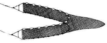 The third method involved the use of a 30 x 5 foot bag seine with ½ inch mesh (Figure 4). This net was pulled parallel to shore for approximately 300 feet at all locations except Cocoa Creek.