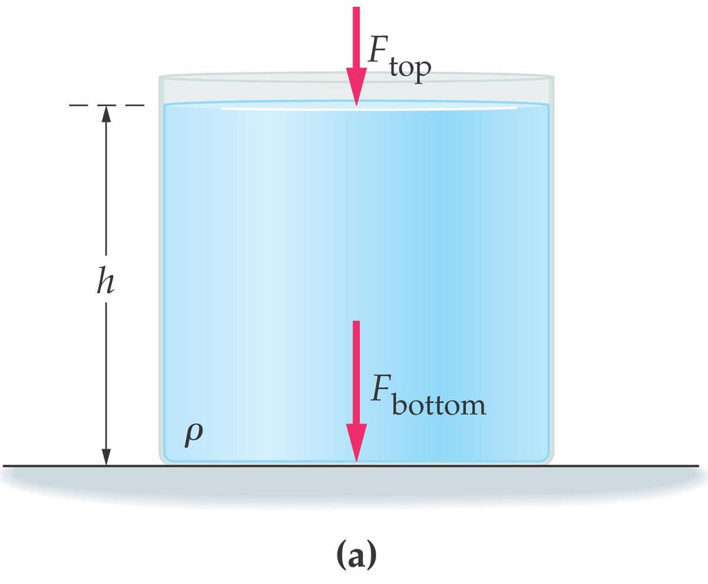15-3 Static Equilibrium in Fluids: Pressure and Depth The increased pressure as an