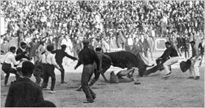 Bullfighting in Spain Hemingway and Hadley traveled to Spain for the experience and later as a journalist.
