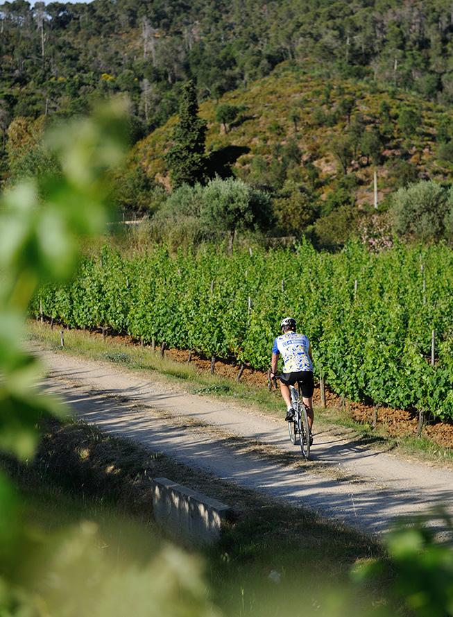 SUBLIME RIDES DIVINE FOOD FINE WINE Slow down and enjoy the ride Bacchus on Bikes design and lead tailor-made cycling holidays for all levels of cyclist through the Empordà region of Catalonia and
